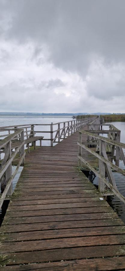 Fewo Im Alten Fachwerkhaus Bad Buchau Buitenkant foto